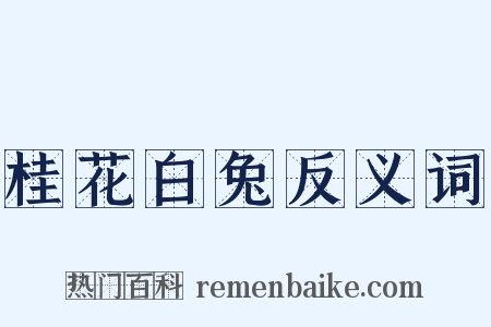 桂花白兔反义词是什么意思的图片
